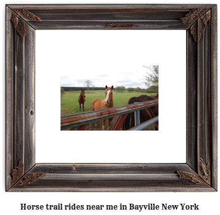 horse trail rides near me in Bayville, New York